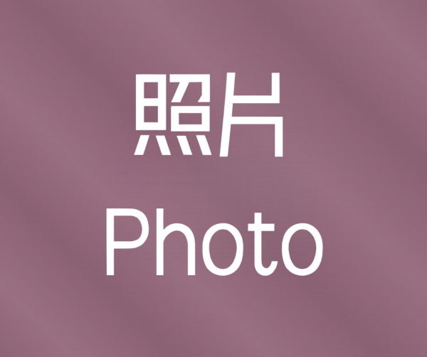 照片 / Photo